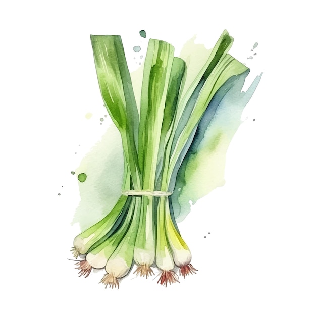 Leeks watercolor paint