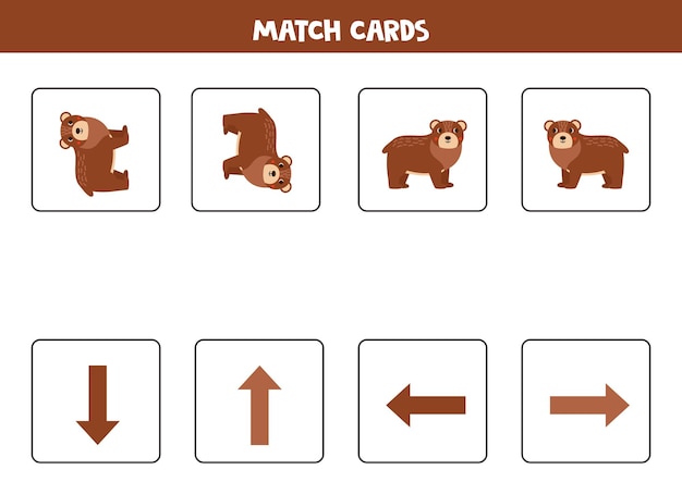 Left right up or down Spatial orientation with cute bear