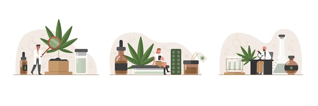 Legalization of marijuana Medical drug use Allowed medicinal growth with drug addiction Vector characters grow cannabis and make pain killer pills from it