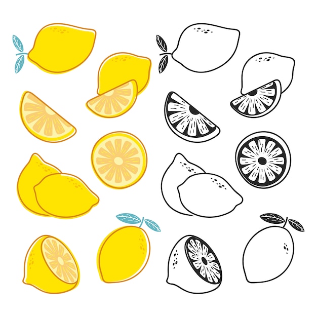  lemon cuts, yellow and black and white citrus fruits vector set