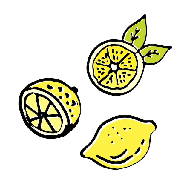 Lemon doodle illustrations set in vector Hand drawn lemon illustrations collection in vector