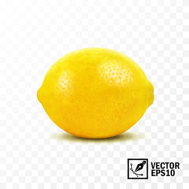 Lemon fruit, 3D realistic isolated  , editable handmade mesh