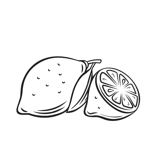 Lemon fruit outline icon, drawing monochrome illustration. Healthy nutrition, organic food, vegetarian product.