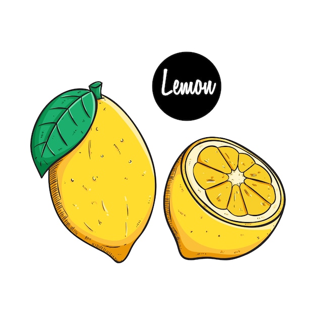 lemon fruit with colored sketch style