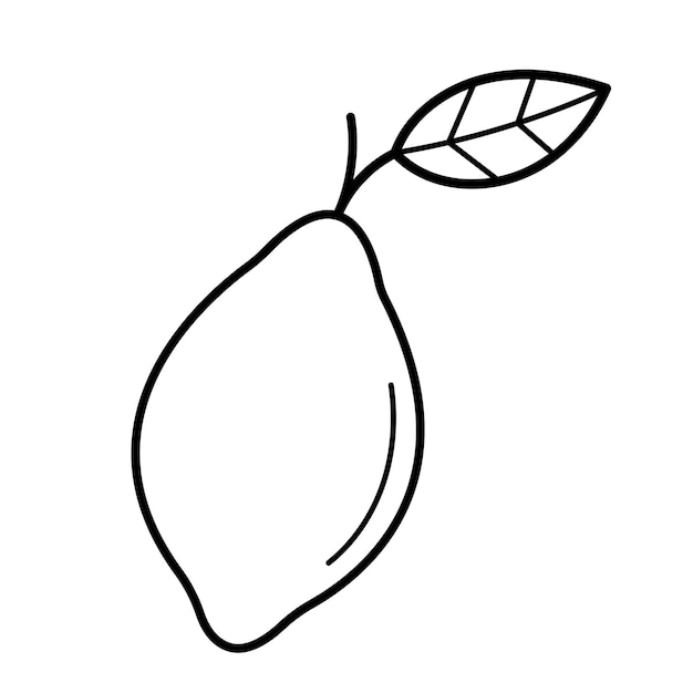 Lemon hand drawn citrus fruit element in doodle sketch style