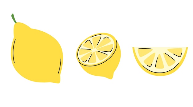 Vector lemon set whole acid citrus fruit cutted half and slice collection of lemon fruit in hand drawn