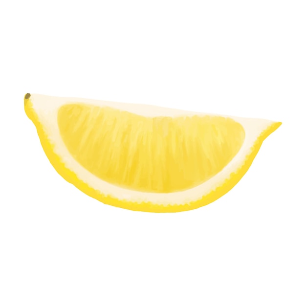 Lemon slice Vector realistic illustration isolated on white background Lemon eps icon clip art