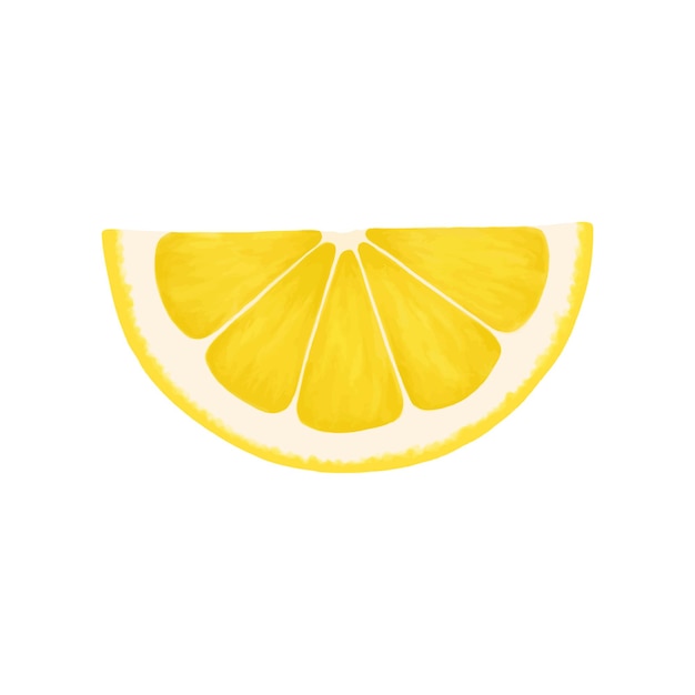 Lemon slice Vector realistic illustration isolated on white background Lemon eps icon clip art