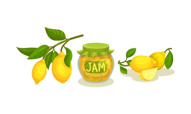 Vector lemon tree branch and jam canned in glass jar vector set