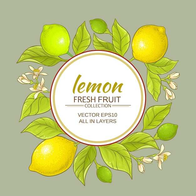 Lemon vector frame