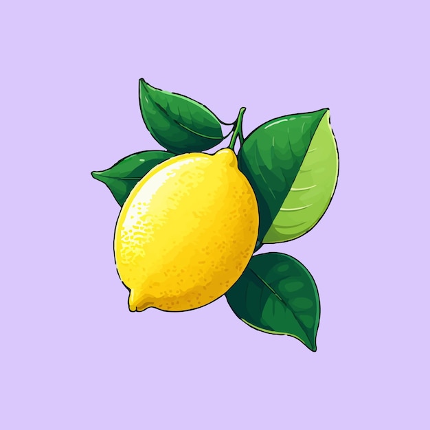 Vector lemon vector