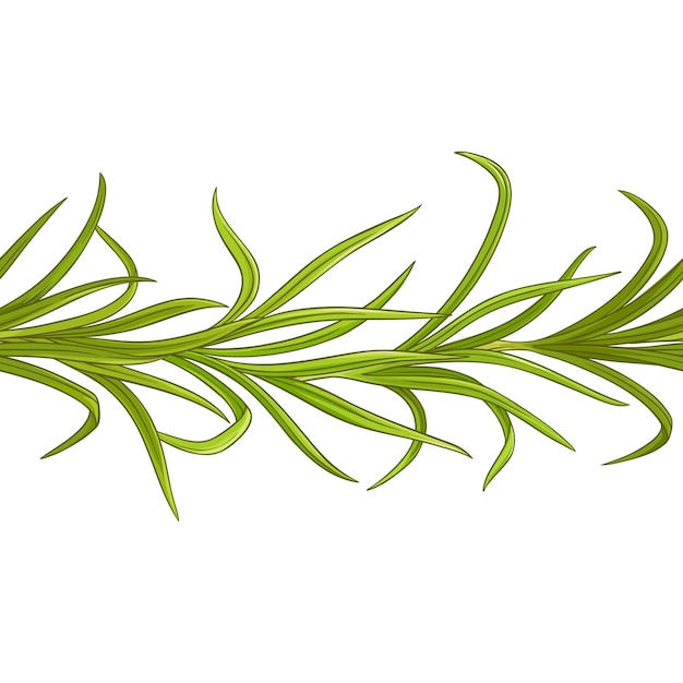 Lemongrass plant vector pattern