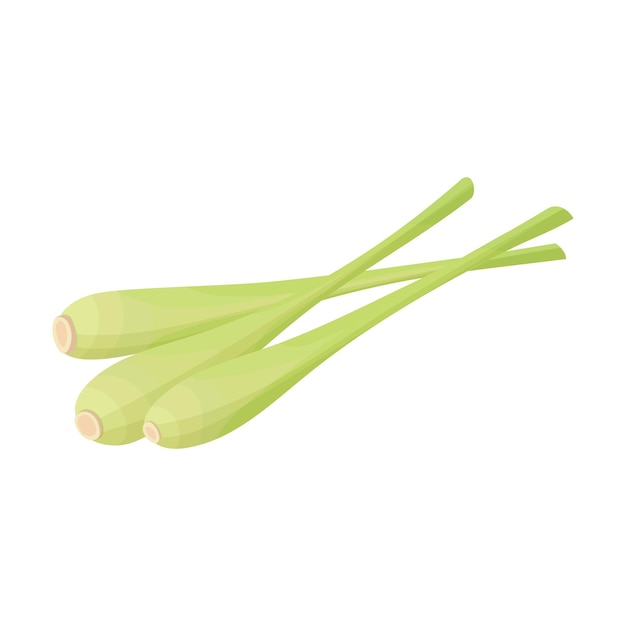 Lemongrass stalk three branches icon Sliced lemongrass stalk for Thai soup seasoning Or cosmetics