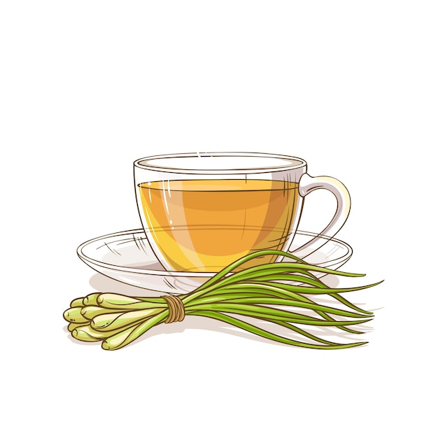 lemongrass tea illustration