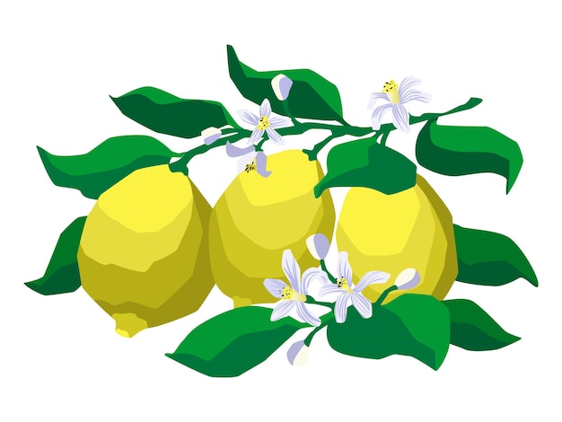 Lemons on a branch with flowers and leaves