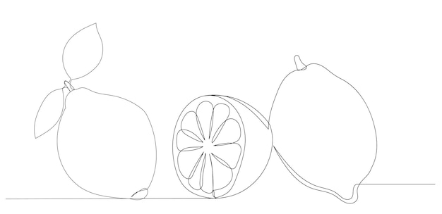 Lemons one line drawing sketch vector