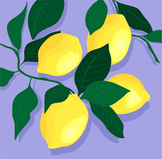 Lemons with leaves