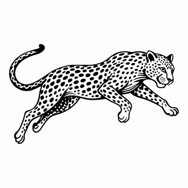 Vector leopard pouncing svg