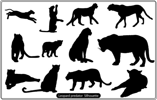 Vector leopard predator silhouette vector set