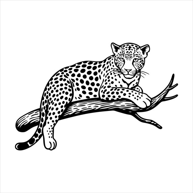 Vector leopard on a tree branch svg