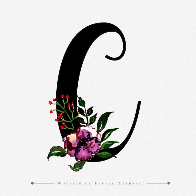 Vector letter c watercolor floral background