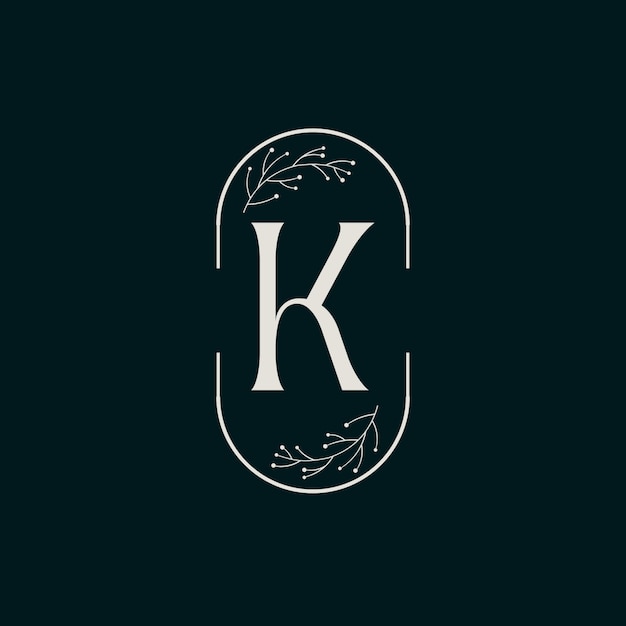 Vector letter k logo design