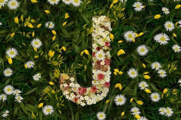 Vector the letter s is in the middle of the flowers