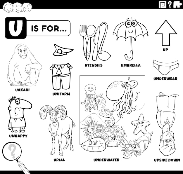 Letter u words educational set coloring book page