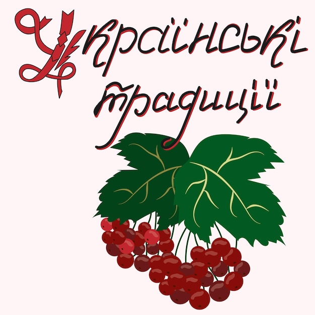 Lettering traditions of Ukraine guelder rose vector