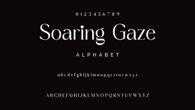 Vector letterpress poster font serif hand printed alphabet