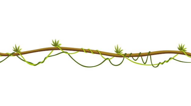 Lianas stem border Rainforest green vine or twisted plant hanging on branch Cartoon jungle creeper leaves or moss on tree Vector isolated game scenery element Tropical nature plant