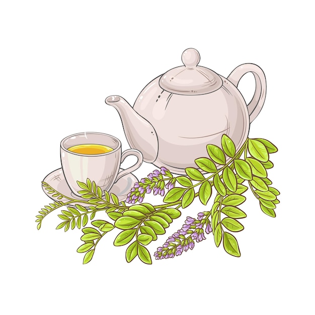 licorice tea illustration