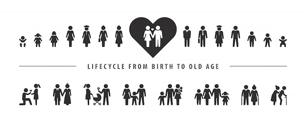 Life cycle and aging process