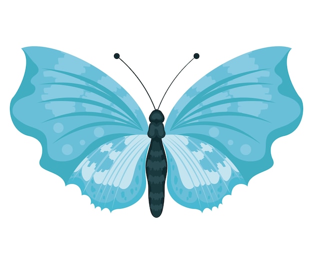 light blue butterfly insect flying icon