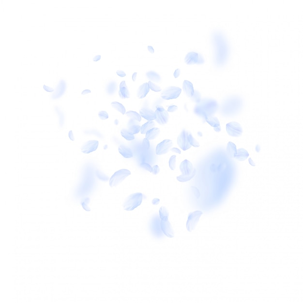 Light blue flower petals falling down.