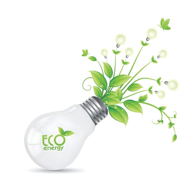 a light bulb that says eco on it