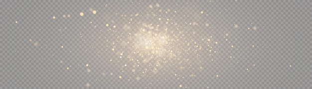 Light effect with lots of shiny shimmering particles isolated on transparent background Vector star