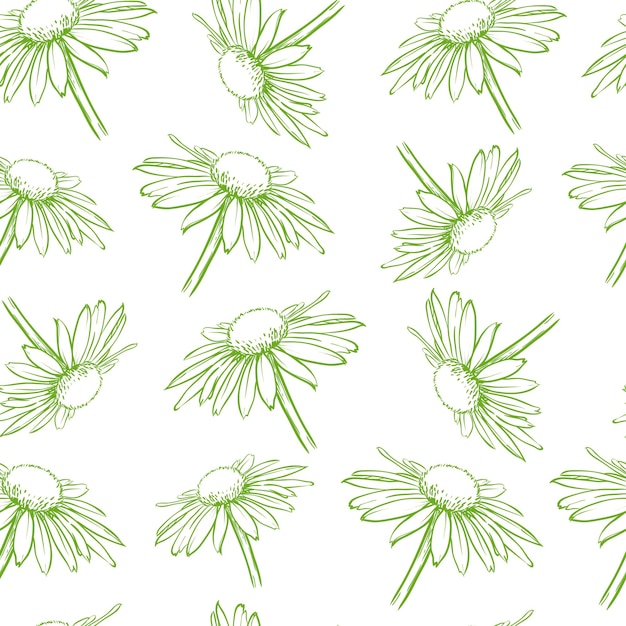 Light green floral seamless pattern White daisies Hand drawn vector illustration