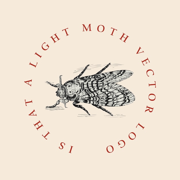 Vector light moth retro logo old vintage illustration poster template design vector elements