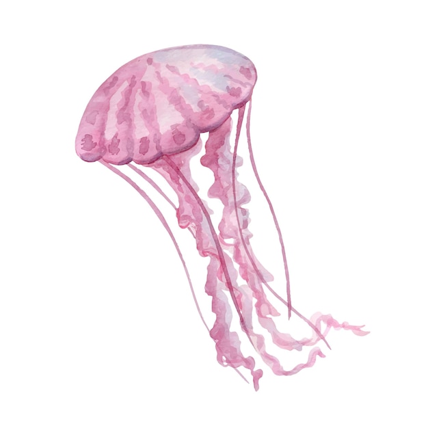 Light pink jellyfish with long tentacles, watercolor painting, hand-painted