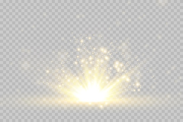 Light star gold png Light sun gold png Light flash gold png vector illustrator summer season beach