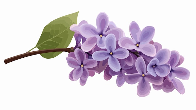 Vector lilac flower clipart isolated vector illustration