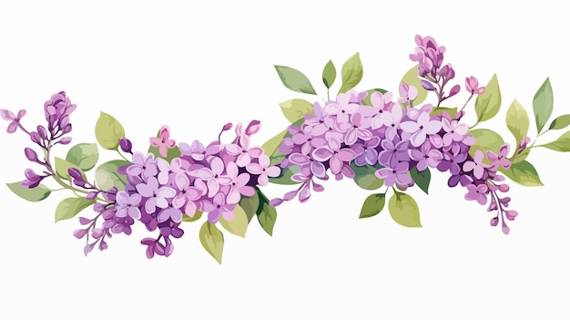 Lilac Flowers and Green Leaves Border Isolated on White Background