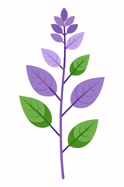 Lilac plant minimal design vector illustration