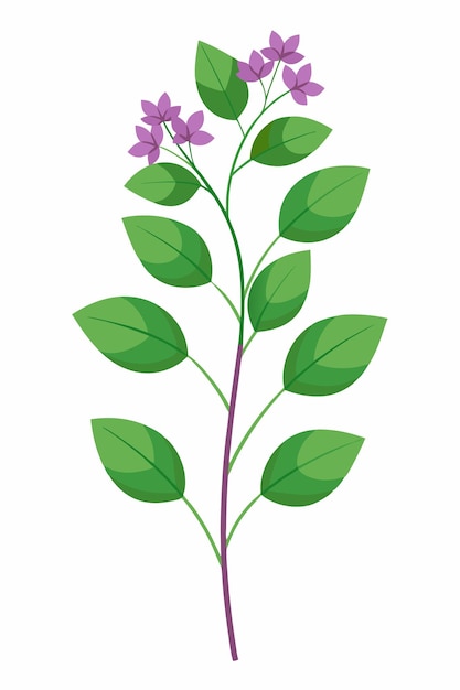 Lilac plant minimal design vector illustration