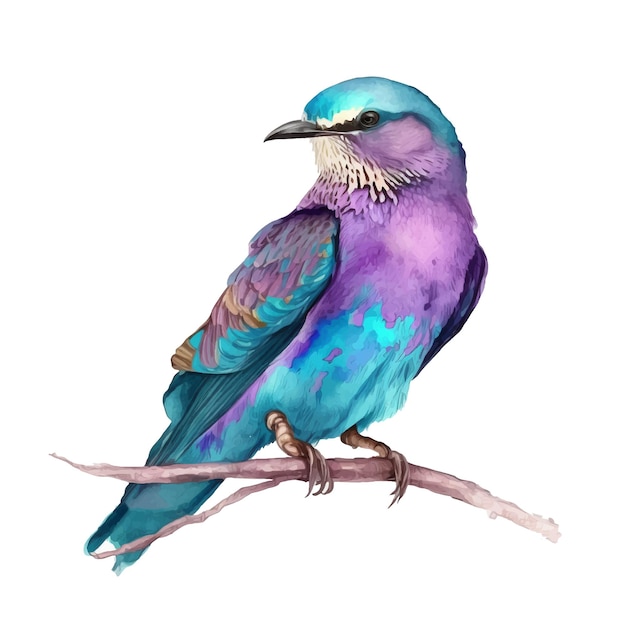 Lilacbreasted Roller bird watercolor paint