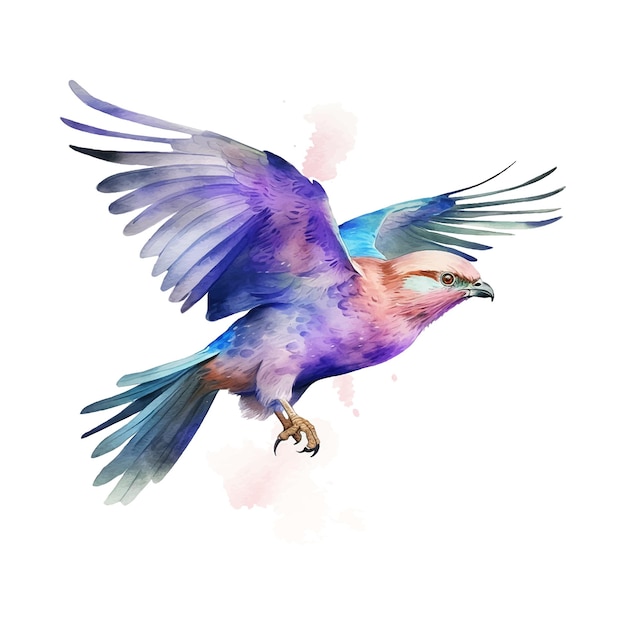 Lilacbreasted Roller bird watercolor paint