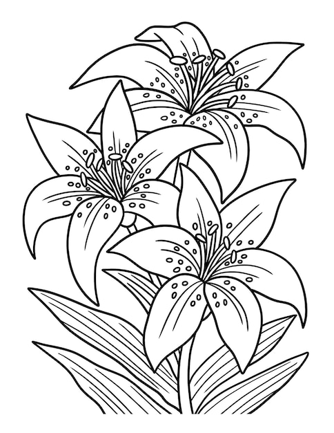 Lilies Flower Coloring Page for Adults