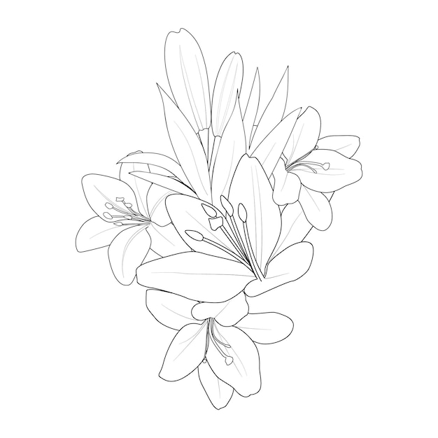 lily flowers coloring page for kids