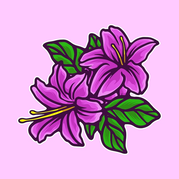 lily flowers illustration